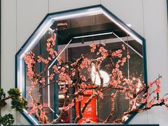 -老板恋上鱼(振华商厦店)