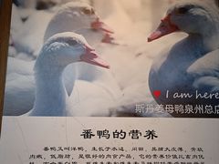 -斯丹姜母鸭·古法干香(田安南路店)