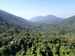 -海南霸王岭国家森林公园