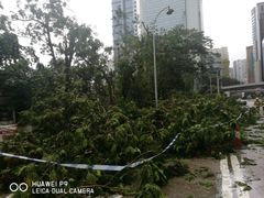 -澳门十六浦索菲特大酒店