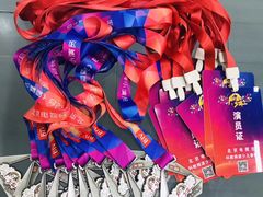 -北京网络广播电视台