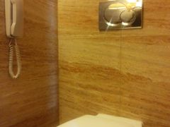 马桶-北京朝阳悠唐皇冠假日酒店