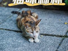 -广州珠江公园