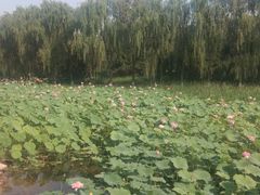-东升八家郊野公园