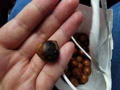 -杨记板栗(天虹总店)