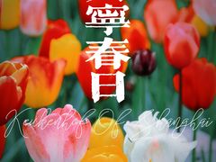 -大宁公园