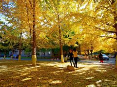 -辽宁大学(崇山校区)