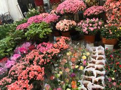 -双季花艺园艺市场(浦东店)