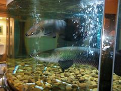 android_upload_pic-肇庆奥威斯酒店