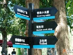 -紫海香堤香草艺术庄园
