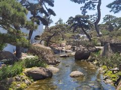 -罗红摄影艺术馆