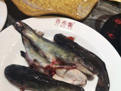 -吉布鲁牛排海鲜自助(温江合生汇店)