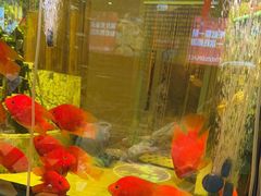 -香约老地方烧烤(九道街店)