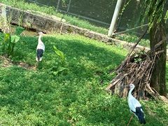 -杭州野生动物世界