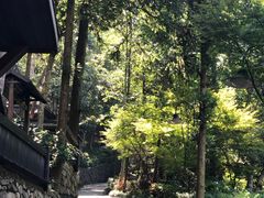 -天明山温泉大酒店