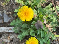 -樱桃山旅游景区