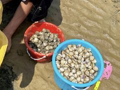 -巧克力渔家.小船海鲜胶东菜(万平口店)