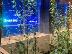 -广州富力君悦大酒店空中花园