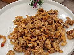 -丁老爷子苏香圆