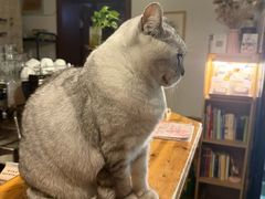 -隅cafe(傅厚岗店)