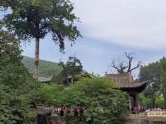 -晋祠公园