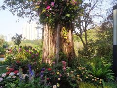 -人民公园(罗湖区)