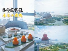 香芒小黄鸭-唐阁海景中餐厅·早茶·粤菜•生日聚餐(海口朗廷酒店)