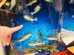 -肆月河豚·新淮扬(金融街店)