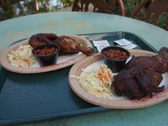 -奥兰多迪士尼动物王国乐园