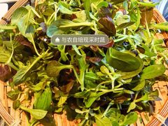 -大匠工房古船木艺术餐厅·猪肚鸡专门店(长白仙岛店)
