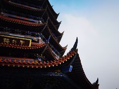 -铁山坪森林公园