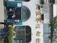 -北京赛佳动物医院