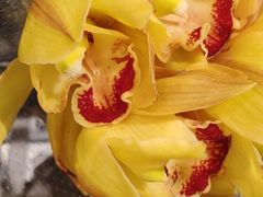 -凯德广场(西城店)