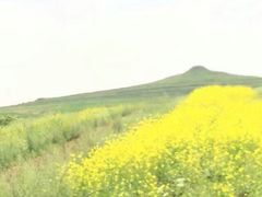 -草原天路(张北县)