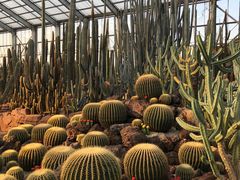 -南通洲际绿博园