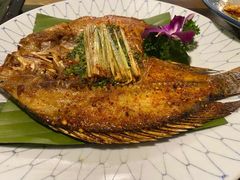-紫滇源云南生态菜(丹凤街店)