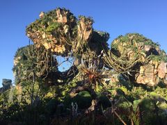 -奥兰多迪士尼动物王国乐园