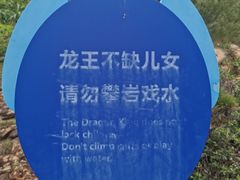 -广东惠东海龟国家级自然保护区