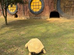 -贵州森林野生动物园
