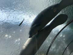 -珠海长隆海洋王国