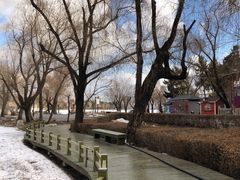 -长春市南湖公园