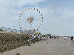 -奉贤海滩