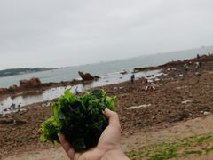 -八大关景区