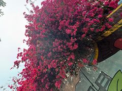 -小南山公园