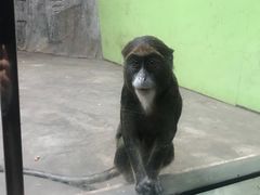 -石家庄市动物园