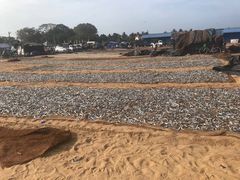 -尼甘布海鲜市场