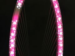 -南京眼步行桥