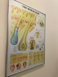 -史云逊养发护发