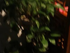 -偶屋里钵少爷(时代广场店)