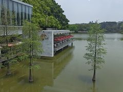 -鹿鸣酒家(越秀店)